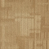 C-TRACK 129009 