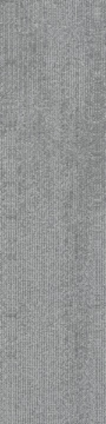 C-Degree 217001-03-04 3 : 7