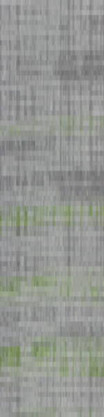 C-VIEW 224012-Ashlar